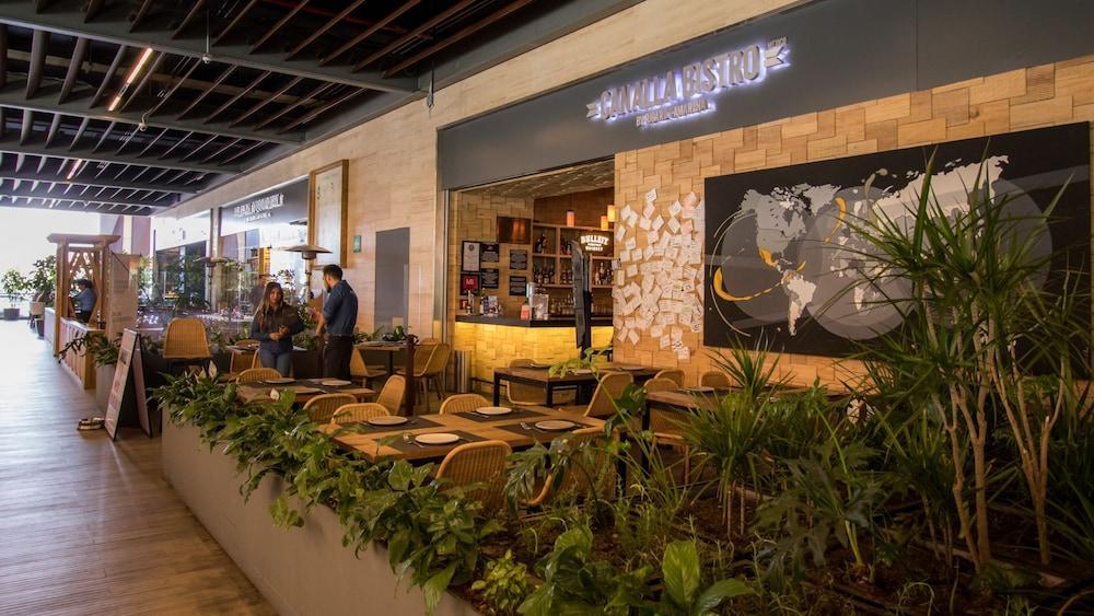 Miyana Suites メキシコシティ エクステリア 写真
